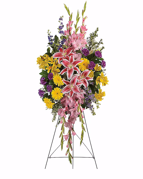 Rainbow Of Remembrance Spray